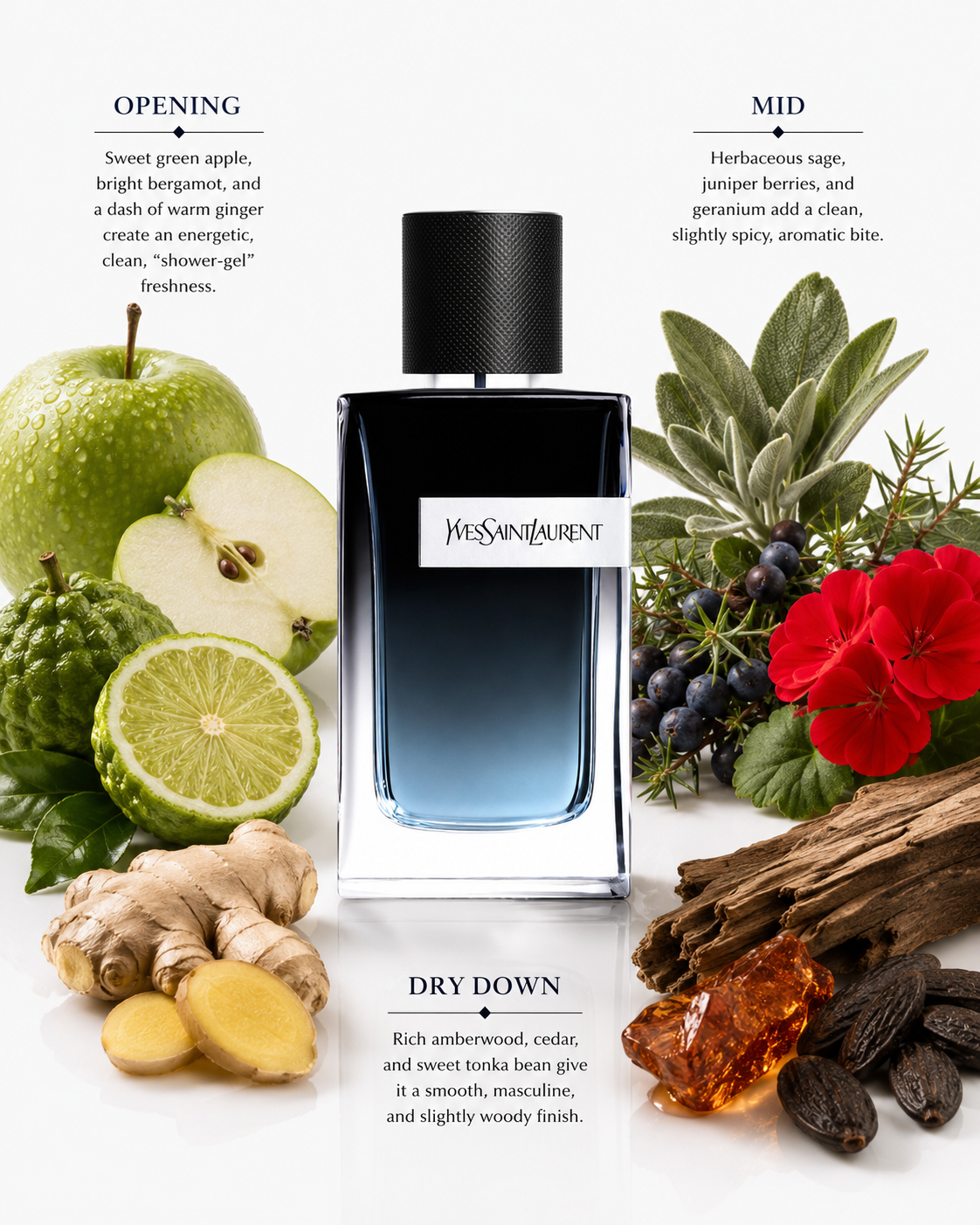 Yves Saint Laurent Y Eau de Parfum | Luxury Men's Fragrance
