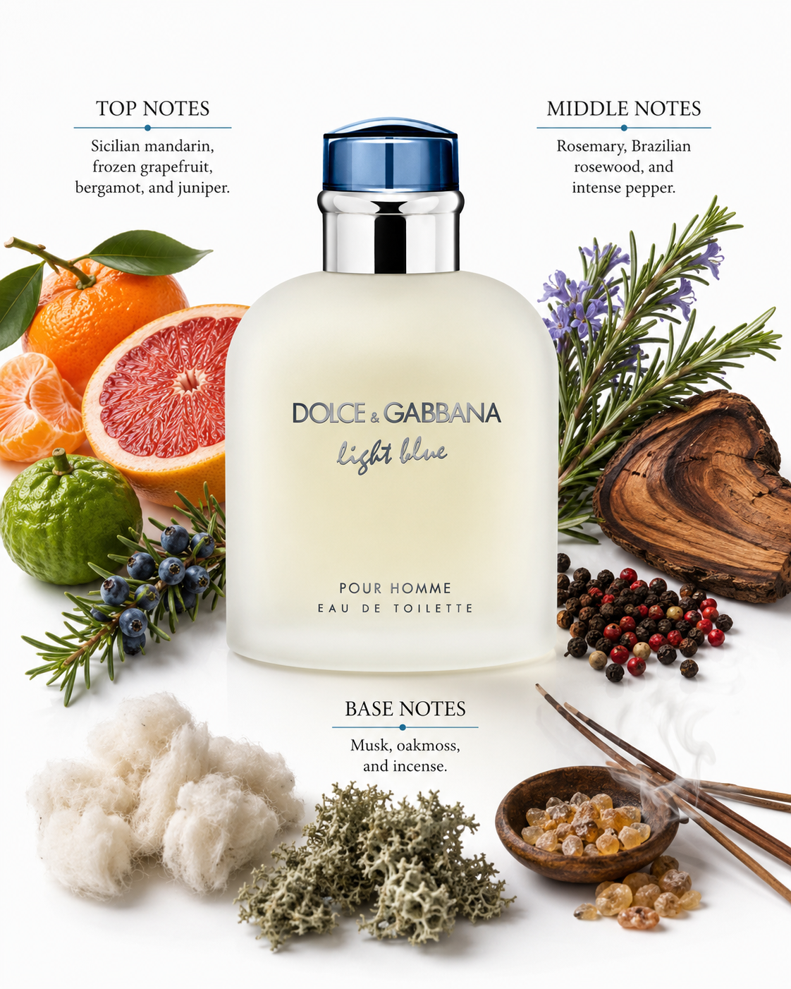 Dolce & Gabbana Light Blue Pour Homme