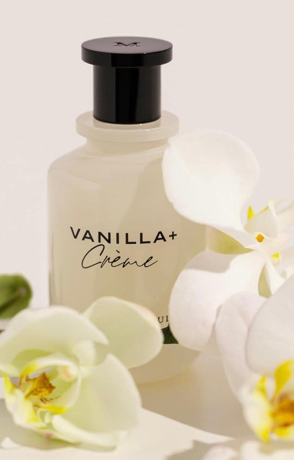 Michael Malul Vanilla + Crème Eau de Parfum for Women 3.4oz